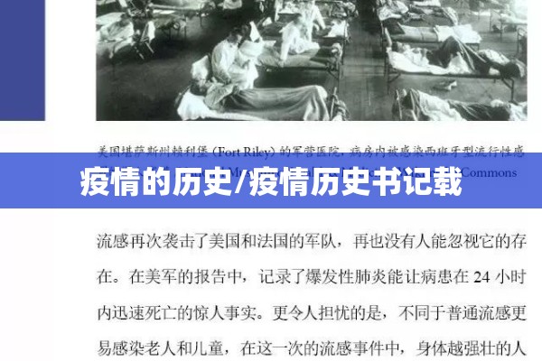 今年的白糖期货行情如何/2021年白糖期货最新行情