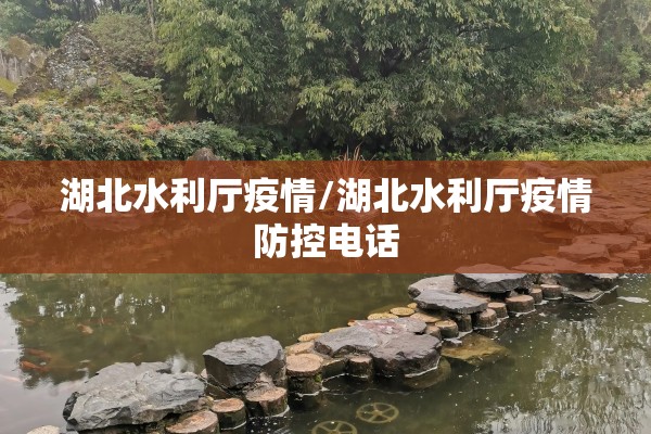 疫情期间的电影:疫情期间电影在日本上映了吗