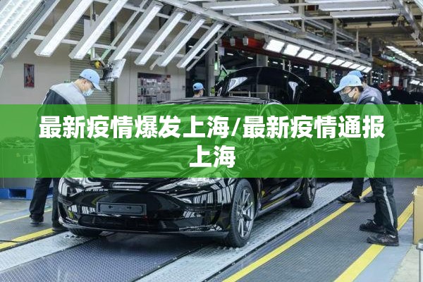 从哪儿能看期货行情（在哪里可以看期货交易）