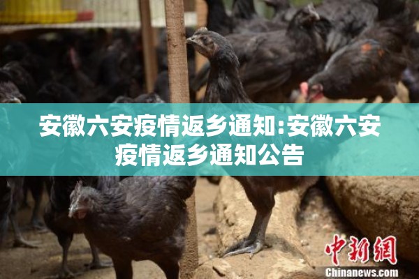 白云机场疫情防控（白云机场防疫情况）