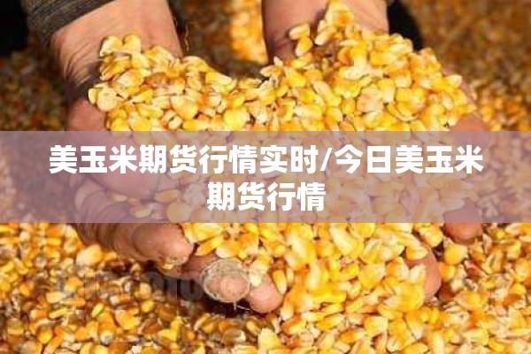 美玉米期货行情实时/今日美玉米期货行情
