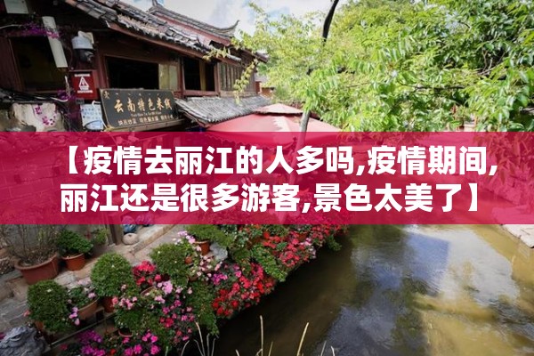 【疫情的作文600字/疫情的作文600字以上】