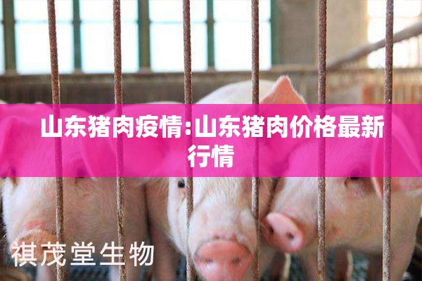 山东猪肉疫情:山东猪肉价格最新行情
