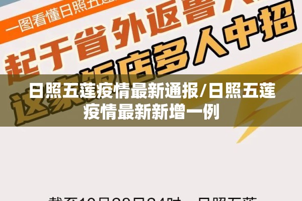 疫情数据核查工作总结:疫情信息数据核查工作存在问题