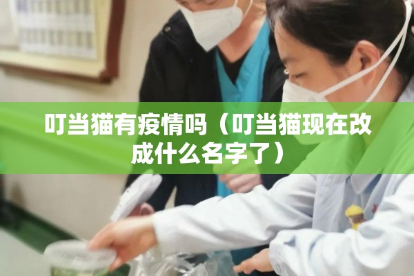 叮当猫有疫情吗（叮当猫现在改成什么名字了）