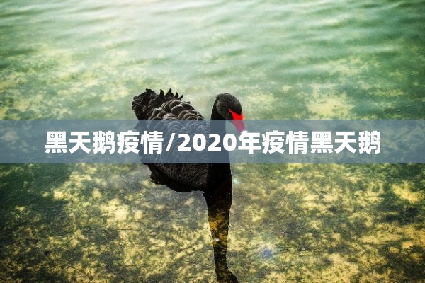 黑天鹅疫情/2020年疫情黑天鹅