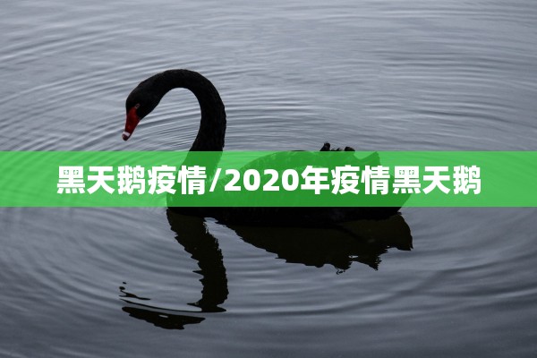 黑天鹅疫情/2020年疫情黑天鹅