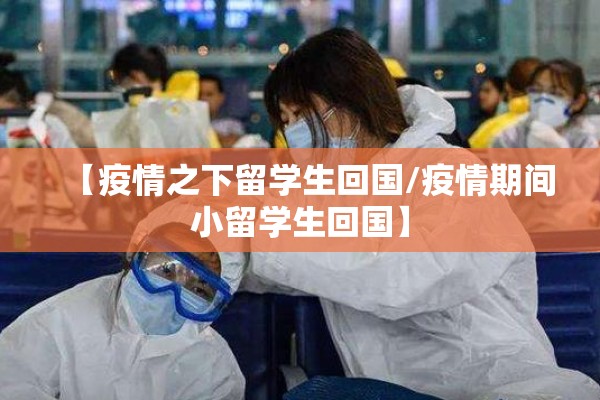 【枣期货行情,红枣期货市场】