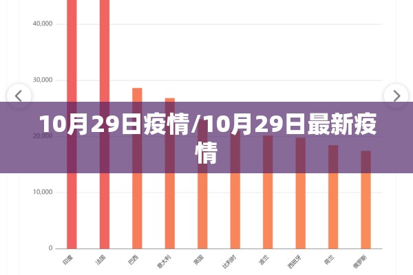【新国展疫情/新国展二期效果图】