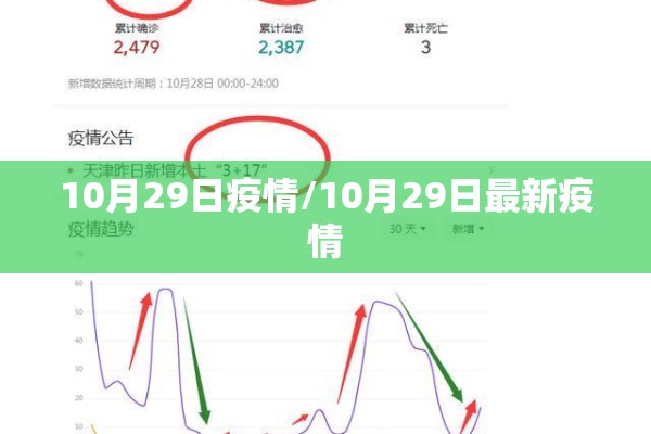 10月29日疫情/10月29日最新疫情