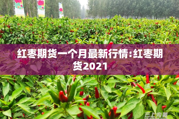 【疫情之下留学生回国/疫情期间小留学生回国】