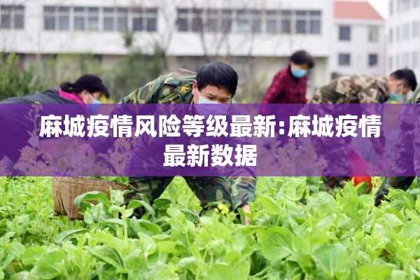 麻城疫情风险等级最新:麻城疫情最新数据 麻城疫情风险等级最新:麻城疫情最新数据