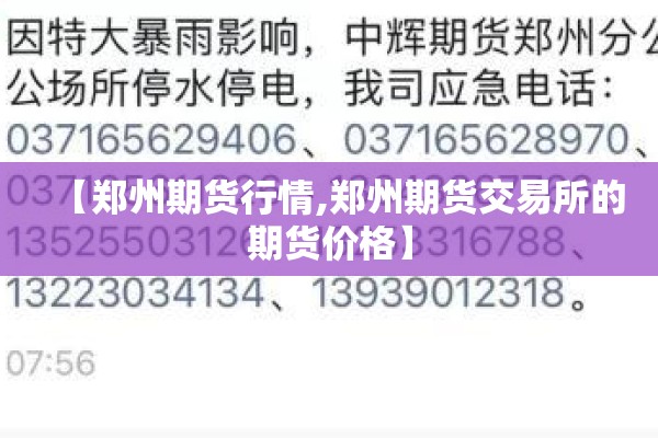 【郑州期货行情,郑州期货交易所的期货价格】