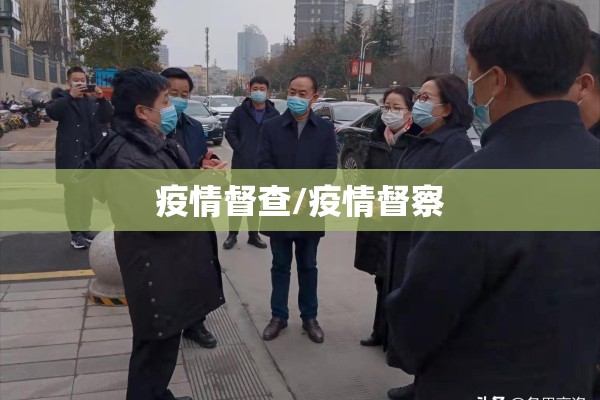 疫情督查/疫情督察 疫情督查/疫情督察