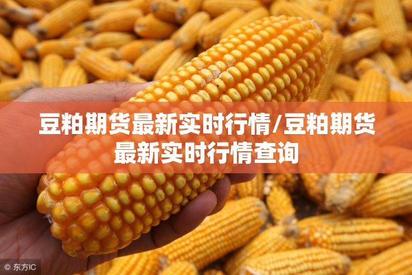 豆粕期货最新实时行情/豆粕期货最新实时行情查询