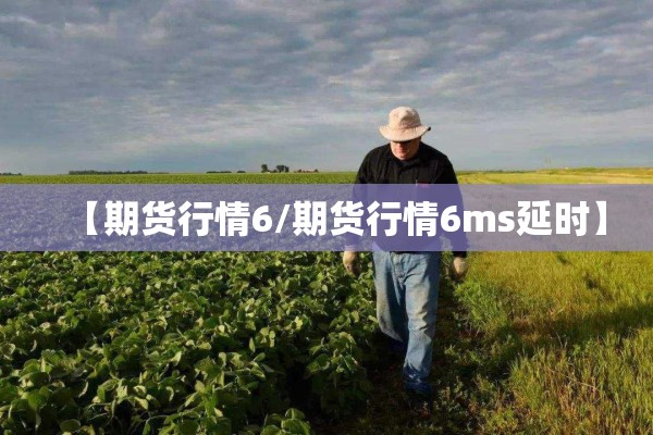 【期货行情6/期货行情6ms延时】 【期货行情6/期货行情6ms延时】