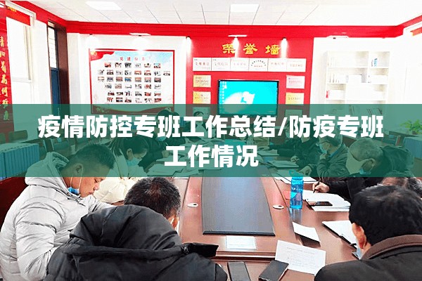 疫情防控专班工作总结/防疫专班工作情况 疫情防控专班工作总结/防疫专班工作情况