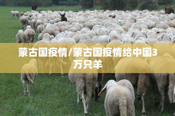 蒙古国疫情/蒙古国疫情给中国3万只羊 蒙古国疫情/蒙古国疫情给中国3万只羊