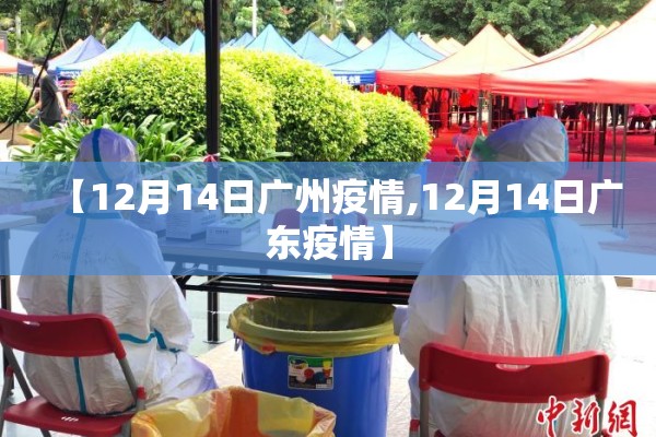 【12月14日广州疫情,12月14日广东疫情】 【12月14日广州疫情,12月14日广东疫情】