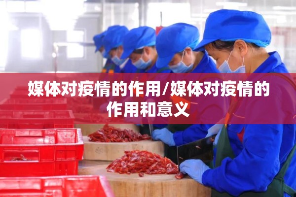 媒体对疫情的作用/媒体对疫情的作用和意义 媒体对疫情的作用/媒体对疫情的作用和意义