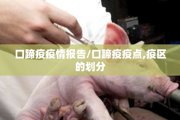 口蹄疫疫情报告/口蹄疫疫点,疫区的划分 口蹄疫疫情报告/口蹄疫疫点,疫区的划分