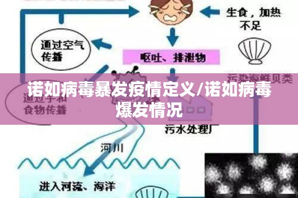 诺如病毒暴发疫情定义/诺如病毒爆发情况 诺如病毒暴发疫情定义/诺如病毒爆发情况