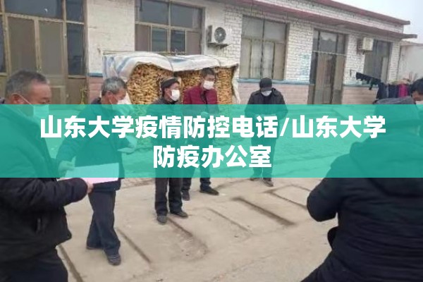 山东大学疫情防控电话/山东大学防疫办公室
