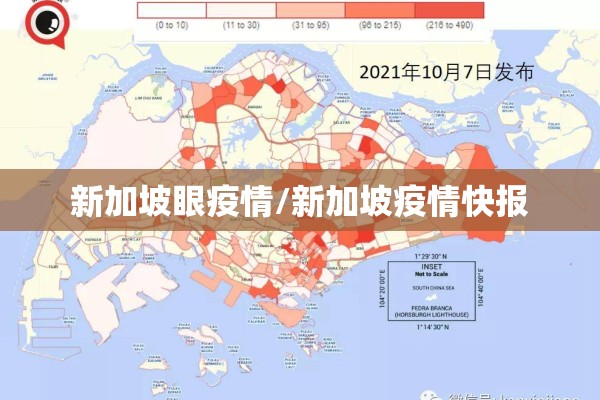 新加坡眼疫情/新加坡疫情快报