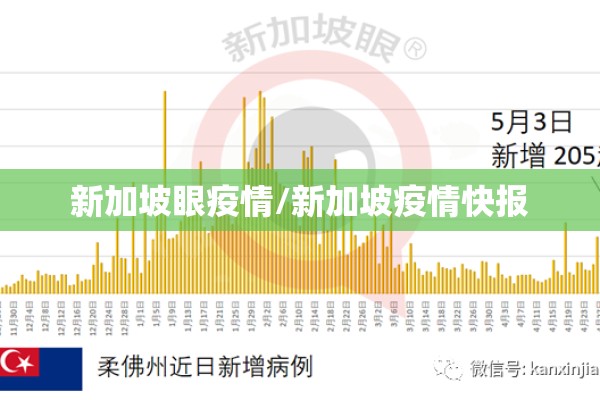 新加坡眼疫情/新加坡疫情快报