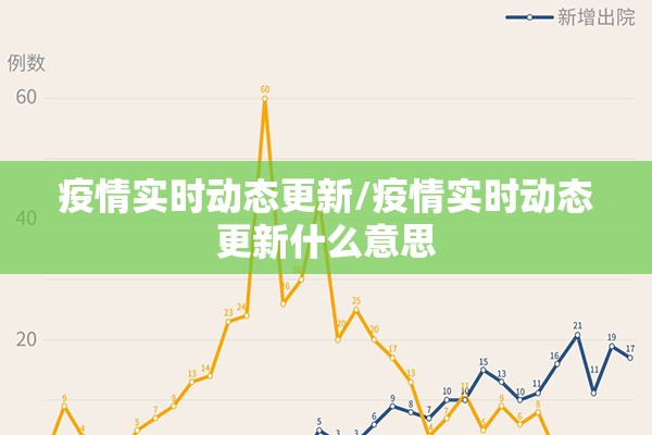 疫情实时动态更新/疫情实时动态更新什么意思