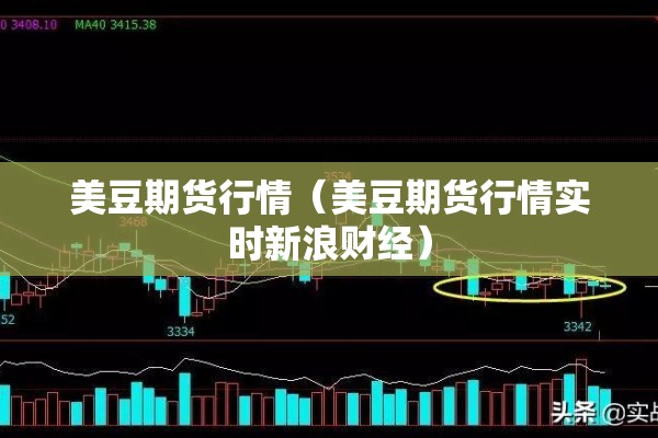美豆期货行情（美豆期货行情实时新浪财经）