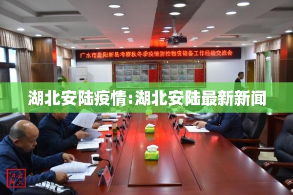 湖北安陆疫情:湖北安陆最新新闻