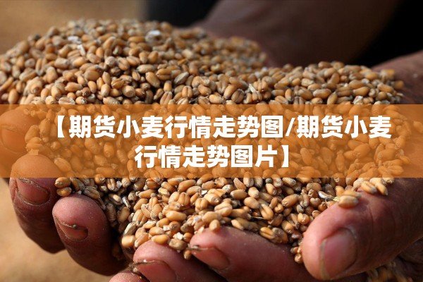 【期货小麦行情走势图/期货小麦行情走势图片】 【期货小麦行情走势图/期货小麦行情走势图片】