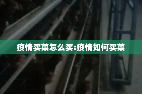 【国内期货苹果行情交流,苹果期货实时行情】