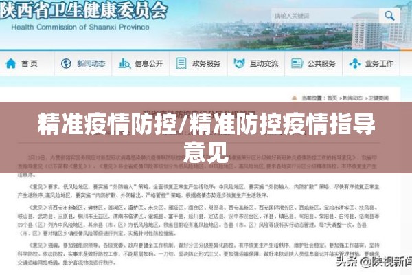 精准疫情防控/精准防控疫情指导意见 精准疫情防控/精准防控疫情指导意见