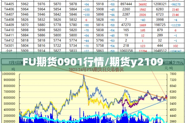 【国内期货苹果行情交流,苹果期货实时行情】