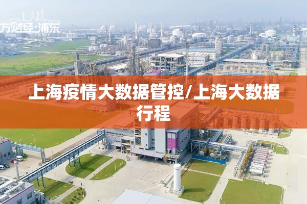 上海疫情大数据管控/上海大数据行程 上海疫情大数据管控/上海大数据行程
