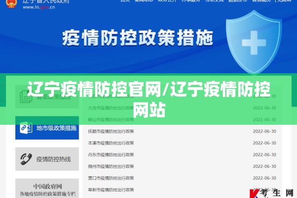 上海疫情大数据管控/上海大数据行程