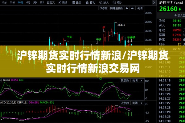 沪锌期货实时行情新浪/沪锌期货实时行情新浪交易网
