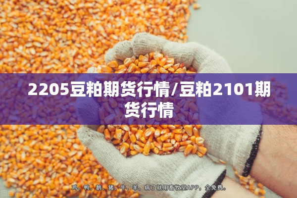 2205豆粕期货行情/豆粕2101期货行情 2205豆粕期货行情/豆粕2101期货行情