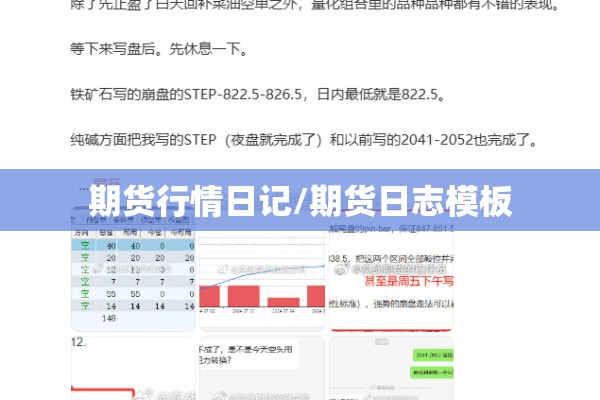期货行情日记/期货日志模板