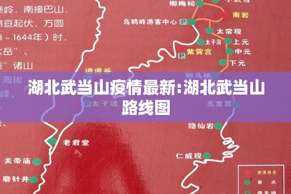 2205豆粕期货行情/豆粕2101期货行情