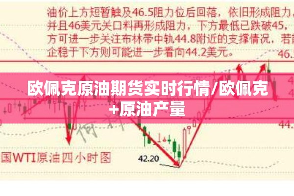 欧佩克原油期货实时行情/欧佩克+原油产量 欧佩克原油期货实时行情/欧佩克+原油产量