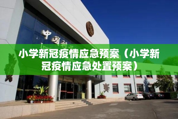 小学新冠疫情应急预案（小学新冠疫情应急处置预案）