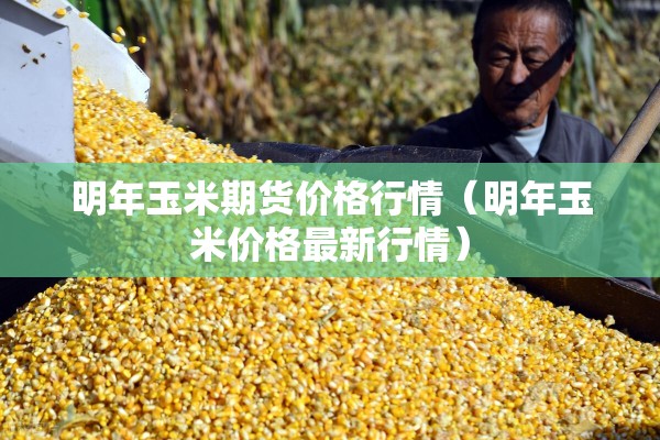 明年玉米期货价格行情（明年玉米价格最新行情）