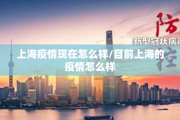 疫情法律（疫情颁布法律政策）