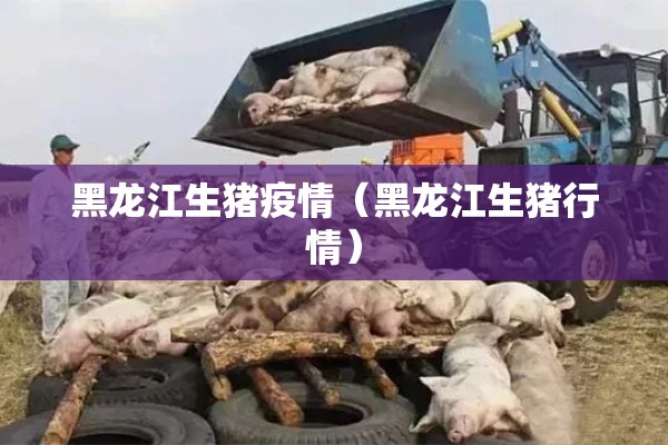 黑龙江生猪疫情（黑龙江生猪行情）