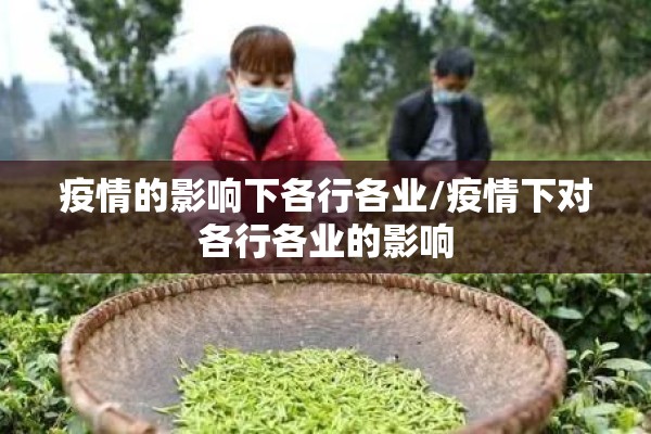 疫情的影响下各行各业/疫情下对各行各业的影响