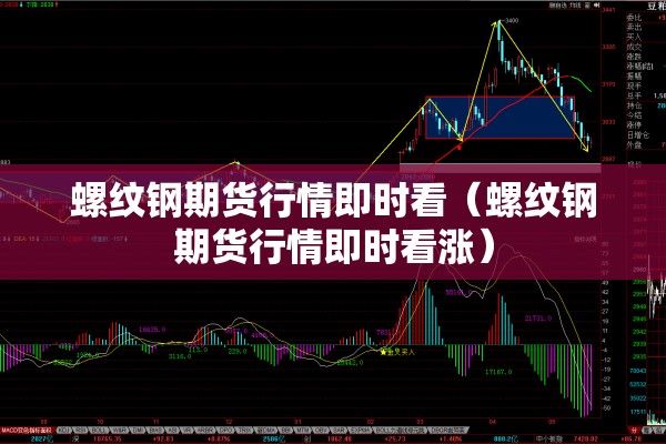 螺纹钢期货行情即时看（螺纹钢期货行情即时看涨）