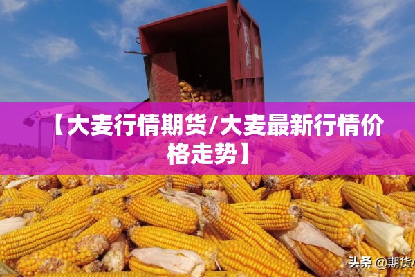 【铁矿石期货尾盘行情,铁矿石期货k线】